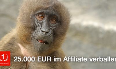 25.000 Euro höhere Kosten durch falschen Orderabgleich im Affiliate