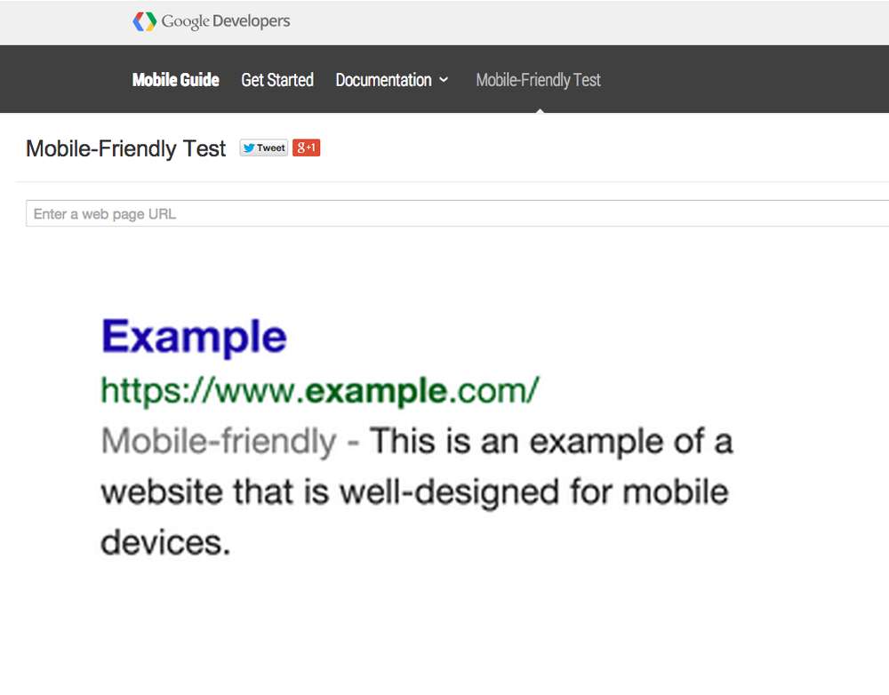 Google Mobile Friendly Test